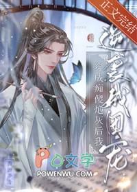 穿成傻子炮灰后老攻黑化了txt