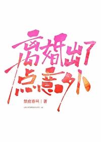 离婚出了点意外谁写的