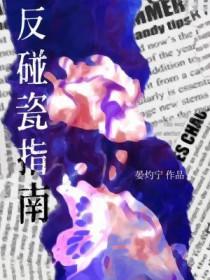 反碰瓷指南by晏灼宁TXT