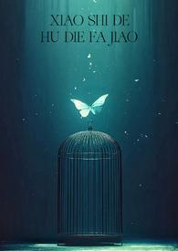 消失的蝴蝶发夹H文