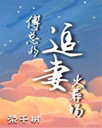 傅总的追妻火葬场最新