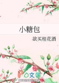 小糖包by欲买桂花酒txt