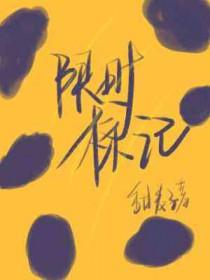 限时和限定是什么意思