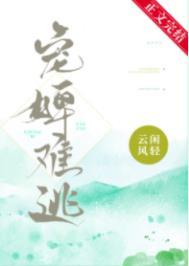 宠婢全文免费