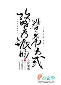 攻略反派的正确方式 综英美