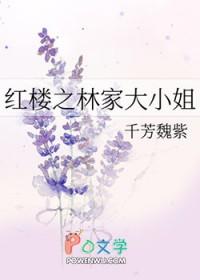红楼之林家哥