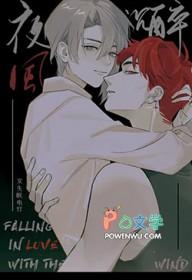 夜风沉醉拜金女酒店