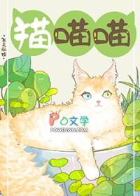 捡到流浪猫又扔了