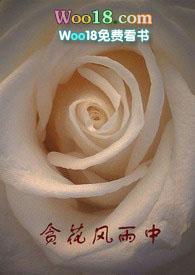 贪花风雨中1v1
