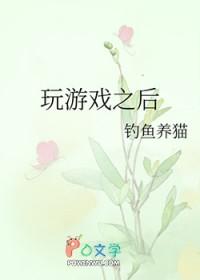 玩游戏之后显卡驱动不见了