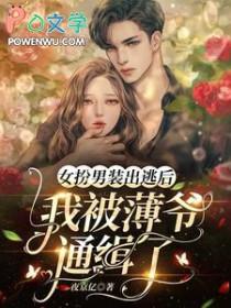 女扮男装薄少太倾城