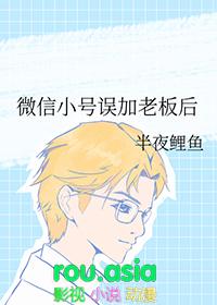 微信小号误加老板后TXT