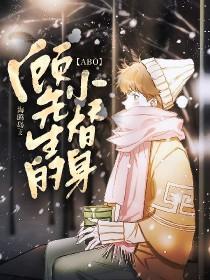 顾先生的糖免费阅读