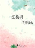 江楼月清淮晓月