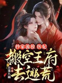 抄家流放医妃搬空王府去逃荒夜婉唐