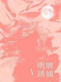 诱捕2004片段视频