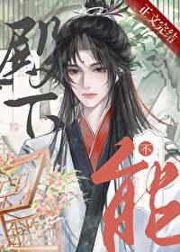 殿下男人不能当老婆