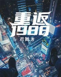 重返1988全本