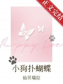 小狗捉蝴蝶的简笔画