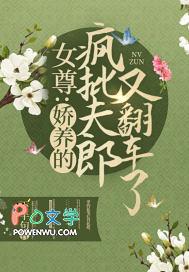 娇宠夫女尊