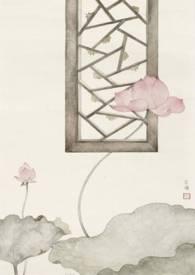 愿我如星君如月海公公好人