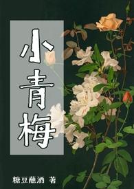 小青梅(np)-糖豆蘸酒