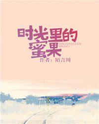 时光里的蜜果出书版番外