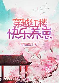 红楼穿越
