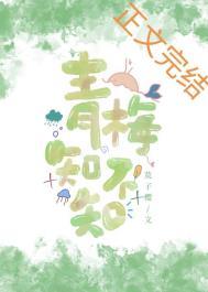 青梅知不知程只