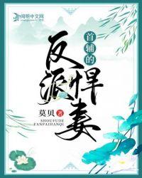 首辅小悍妻