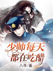少帅每天都在吃醋txt