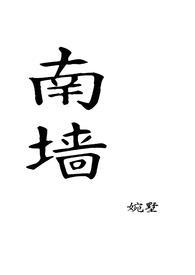 南墙知安在线阅读