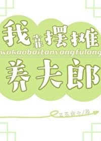 我靠摆摊养夫郎by三五余七