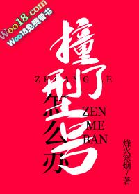 撞了型号怎么办 烽火寒烟