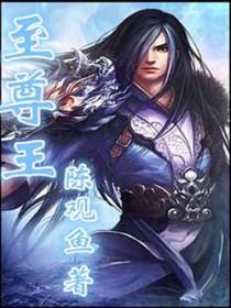 至尊王婿短剧合集