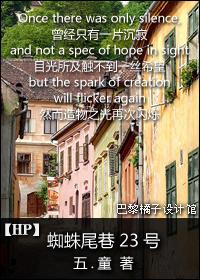 hp蜘蛛尾巷19号txt