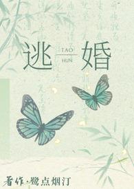 逃婚之后读书网