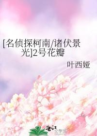 柯南2号人物