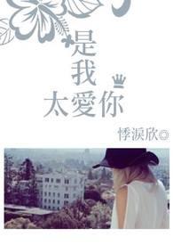 是我太爱你了