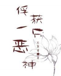 俘获 shelmes