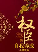 权臣的自我养成讲的什么