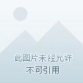 全民领主我的女神们抢着出征