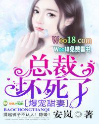 宠妻总裁坏透了