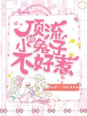 顶流作者不好惹
