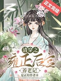 清穿雍正皇后同人文