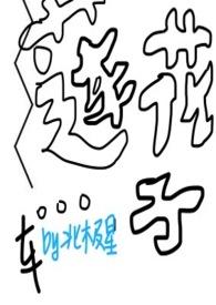 莲花子怎么养