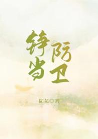 铮当防卫番外
