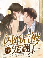 闪婚大叔太坏