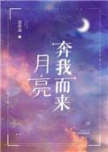 我从不试图摘月