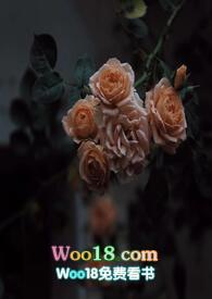 壁垒(骨科NP)最新章节免费阅读_